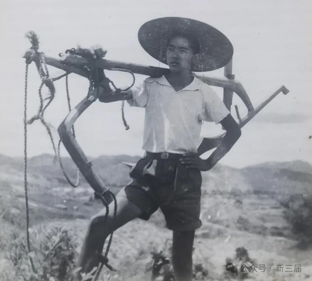 308.jpg