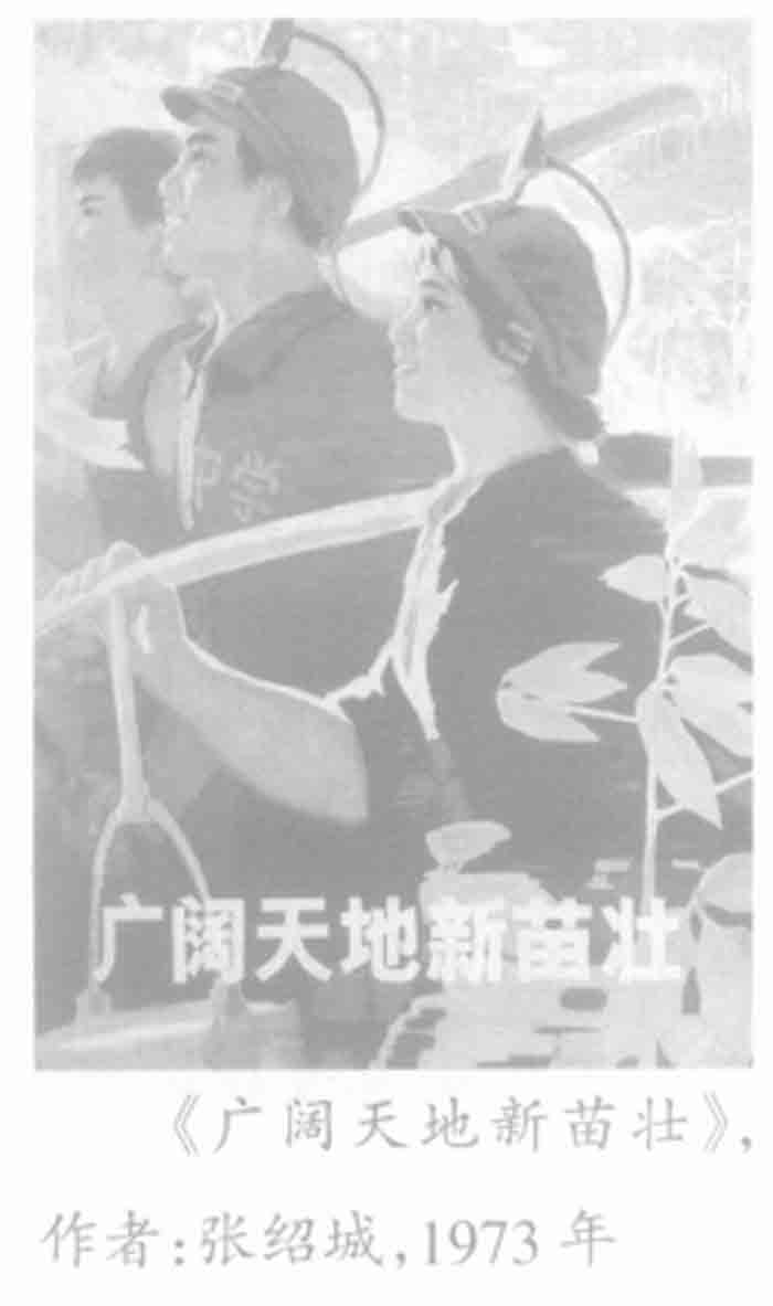 广阔天地新苗壮，1973.jpg